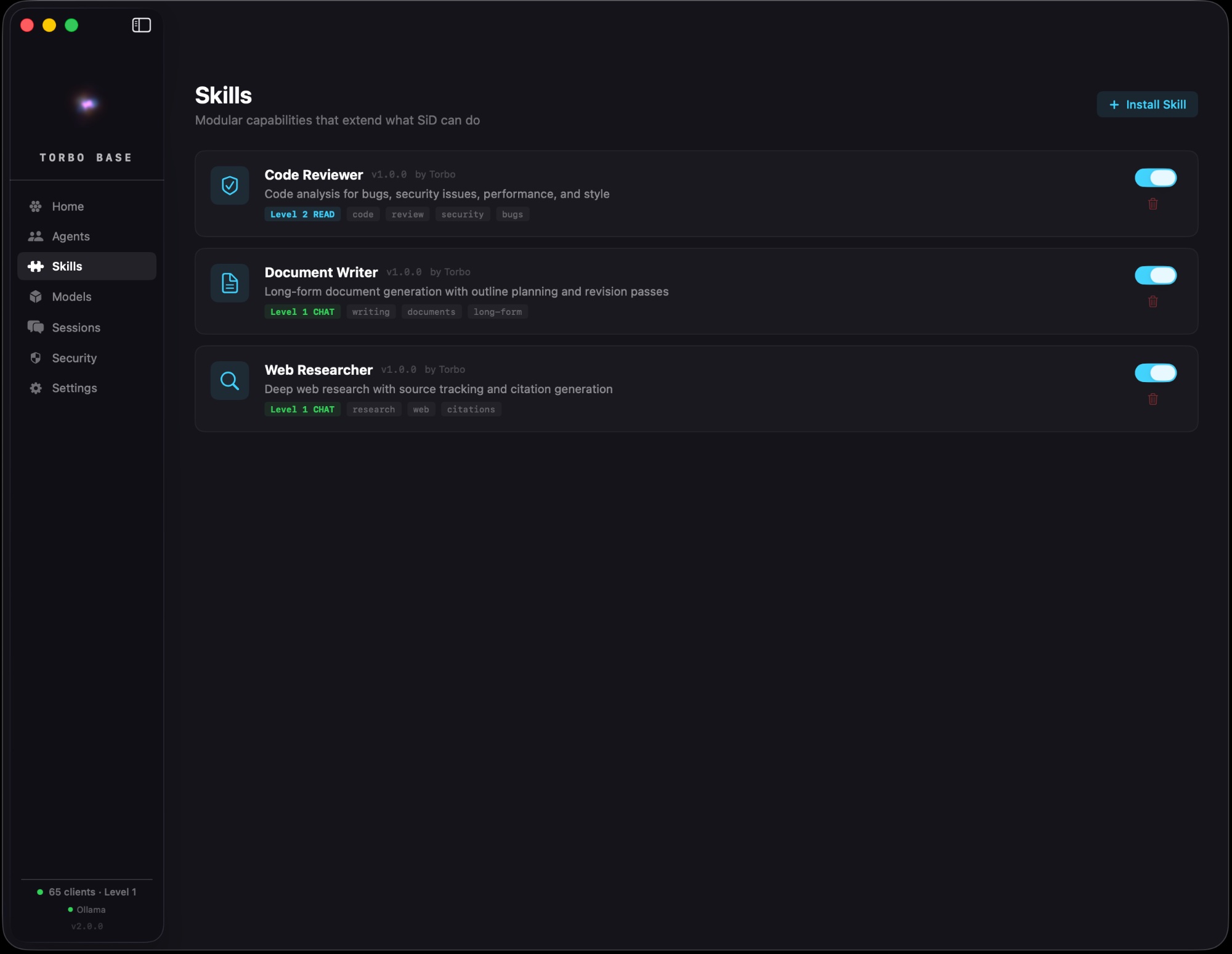 Skills — Code Reviewer, Document Writer, Web Researcher